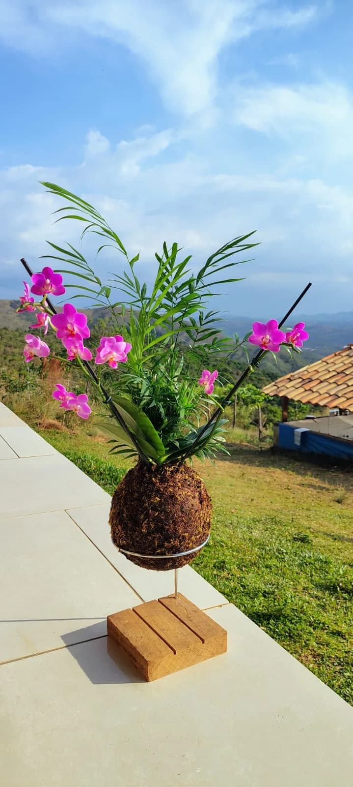 Kokedama de Orquídea com Chamaedorea 01